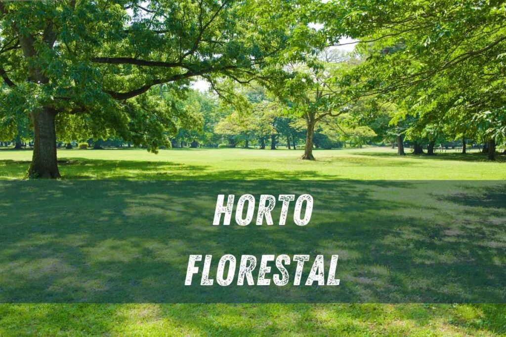 Horto Florestal